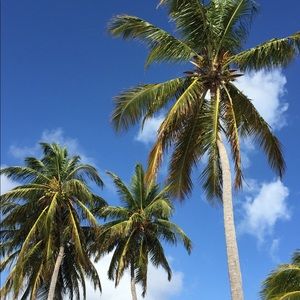 Meet your Posher, Kristin